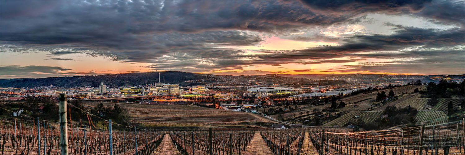 Panorama von Stuttgart Bad-Cannstatt - aufgenommen vom Tal über Luginsland